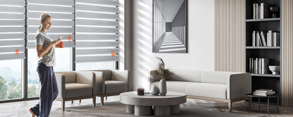 Collections - Motorized Zebra Blinds