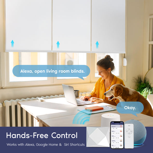 Go Smart Bridge Automation Hub For Motorized Blinds | Go Smart Blinds