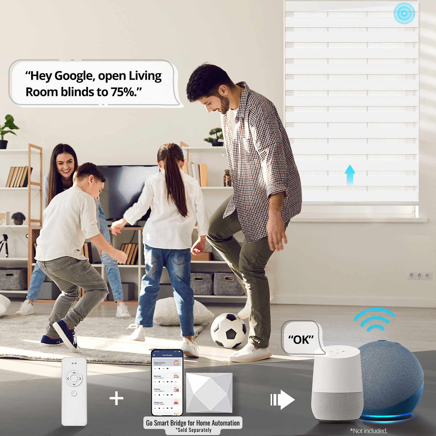 Ok google top motor remote